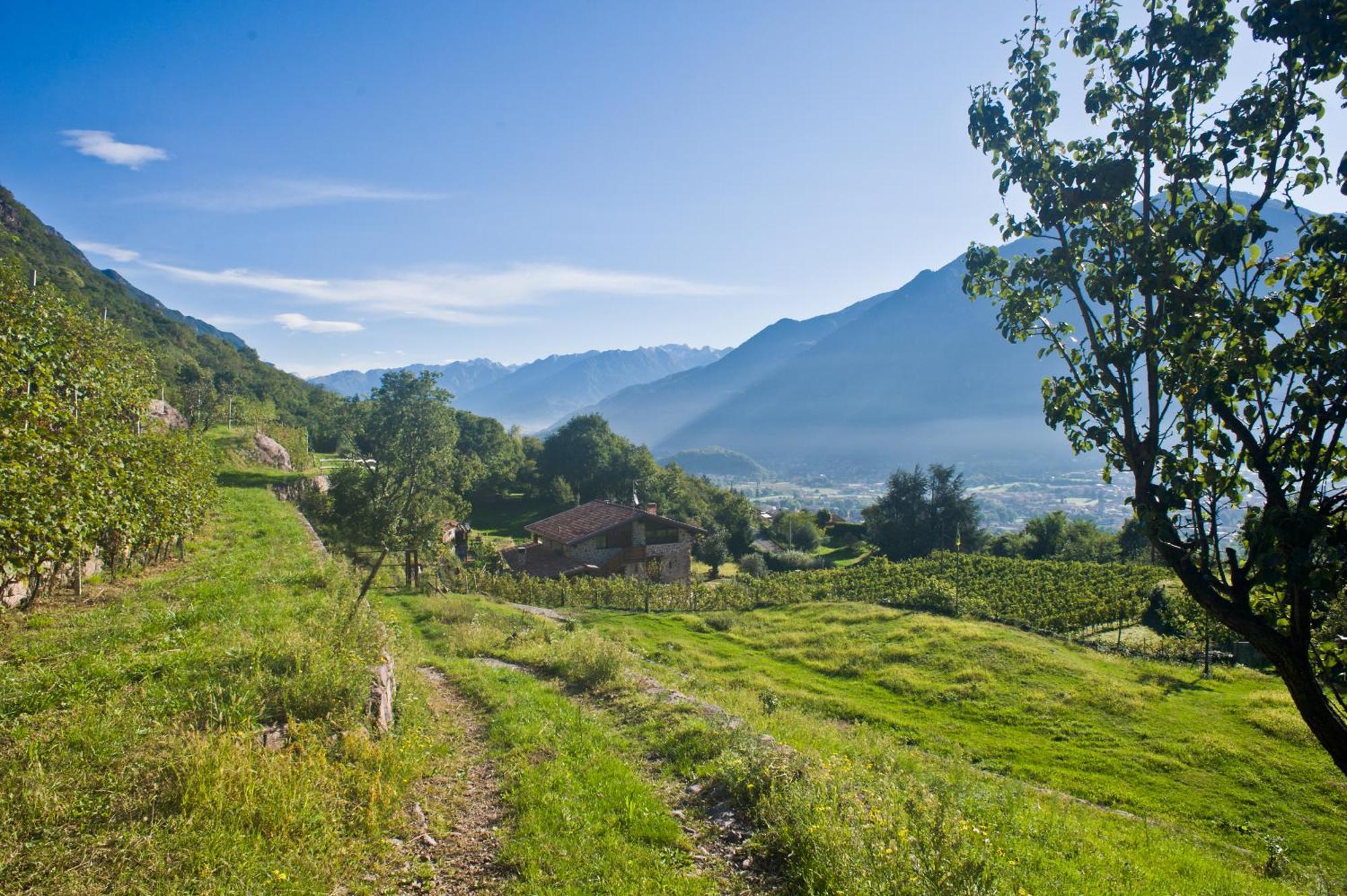 Agriturismo Ruc Del Lac Boario Terme Eksteriør billede